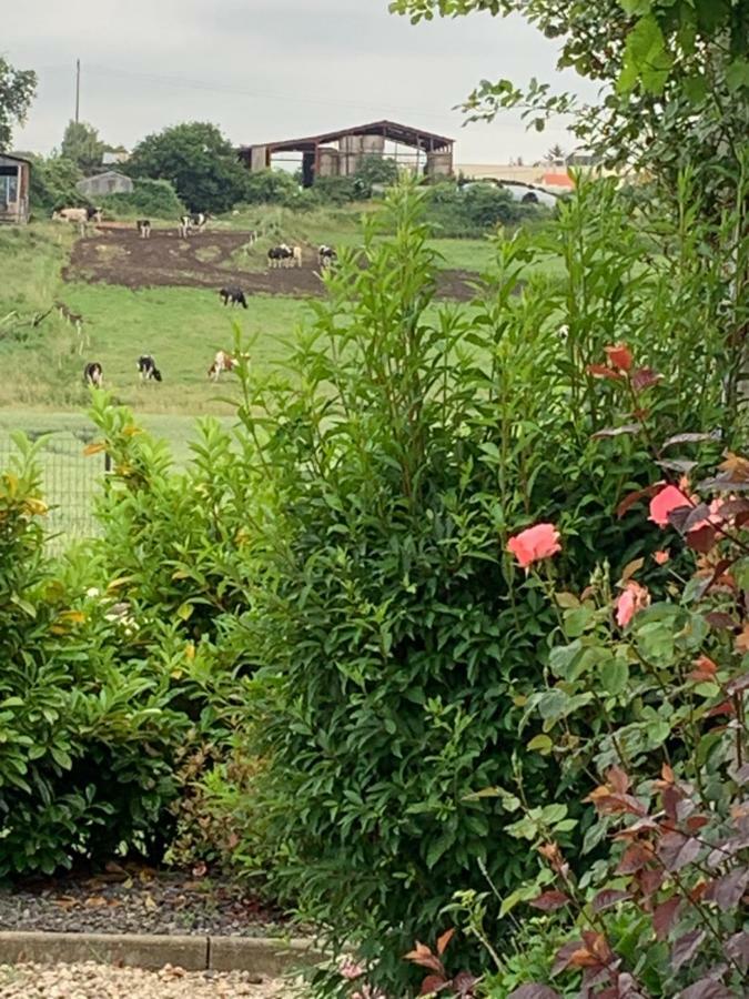 Gite Les Combes Terrasse 01340 Etrez Bresse Vallons Exterior foto